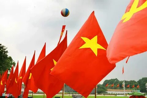 Hotspot Matrix và Concert quốc gia - khi người trẻ yêu nước theo “tần số” của mình_Khóa học digital marketing trực tuyến